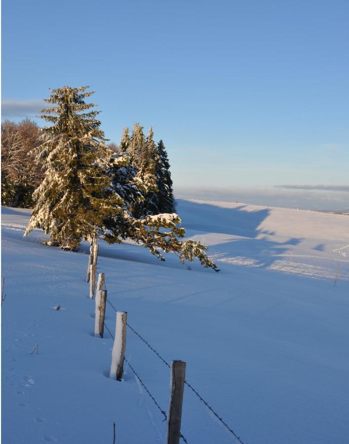 Gite Le Couderc De Coubisou, Grange Renovee Buitenkant foto